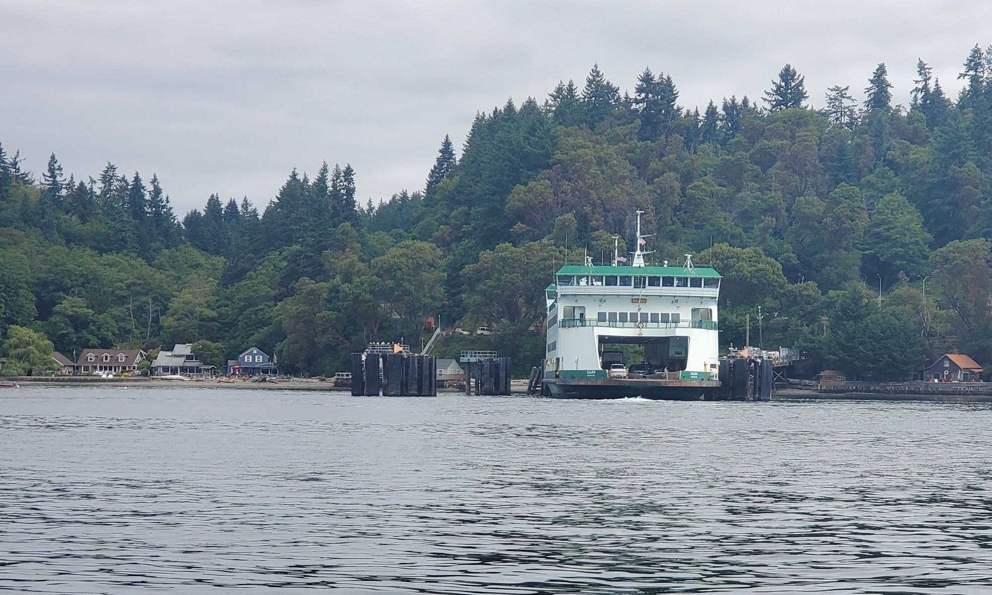 A green and white car ferry docked with trees and a few houses behind it.