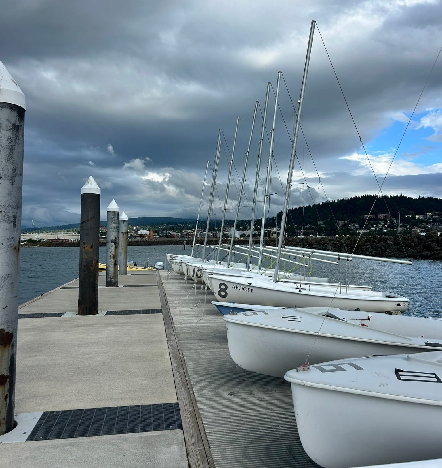 A row of small white sailboats on a concrete dock with a town in the background.