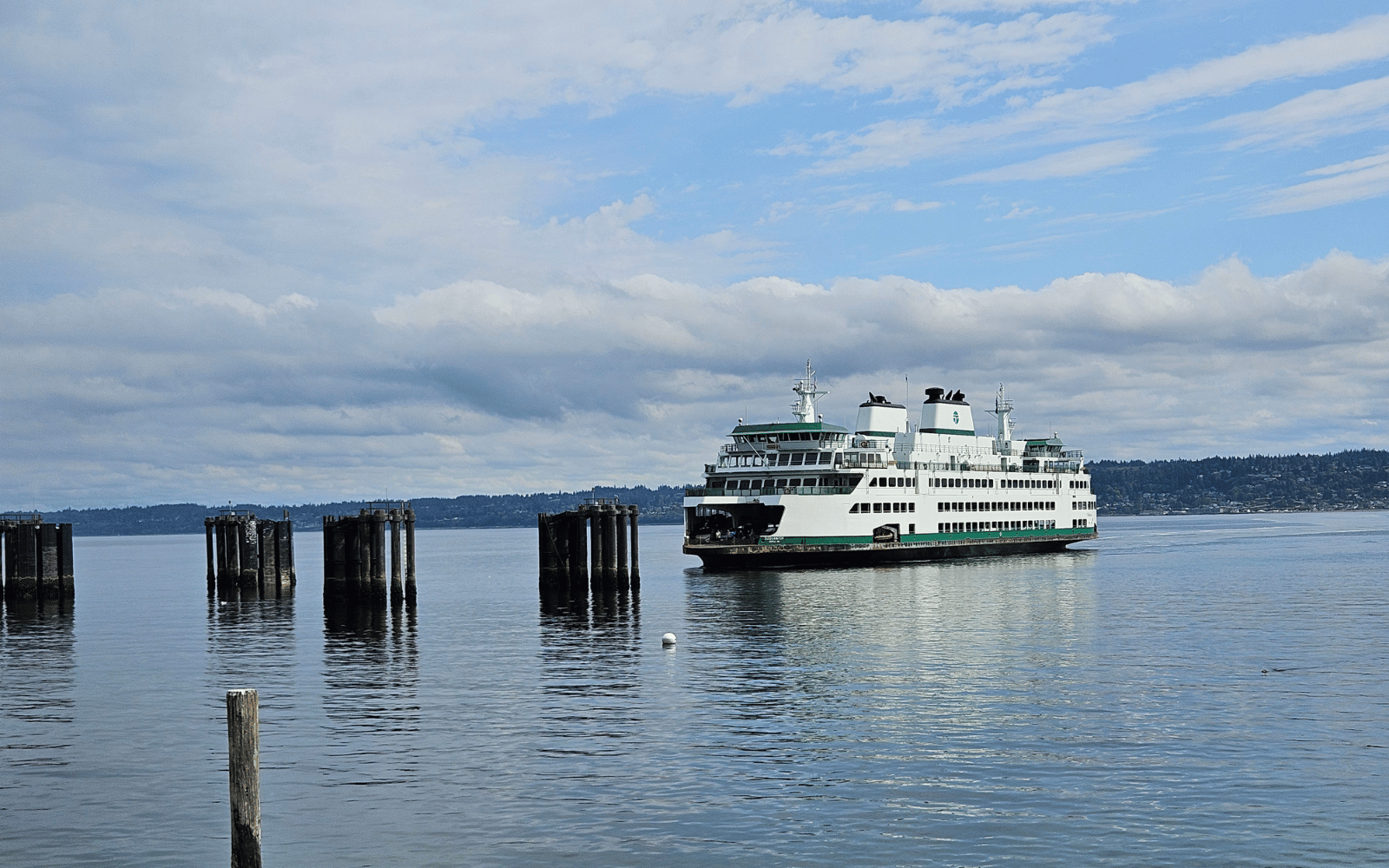 A large white and green ferry close to dock pilings in calm water.