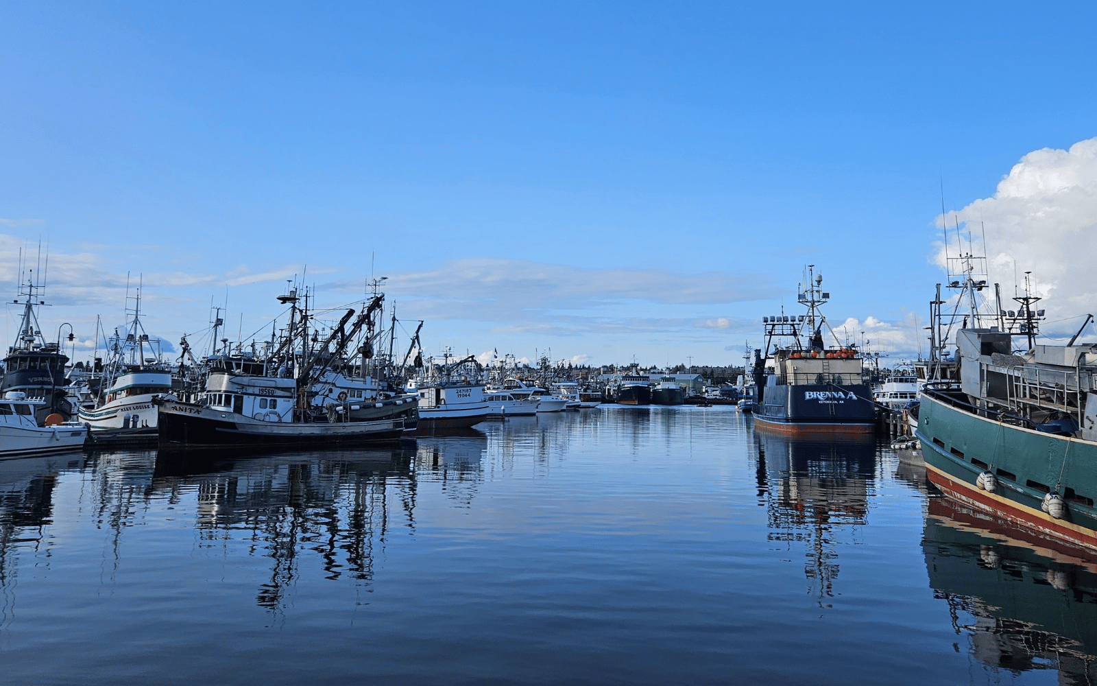 Spring at Fishermen's Terminal