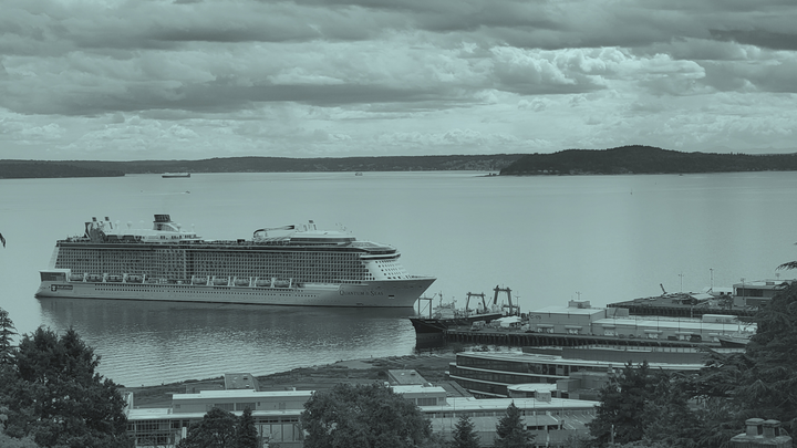 A blue-tinted image of a large cruise ship pulling out of a dock with trees in the foreground and more land behind.