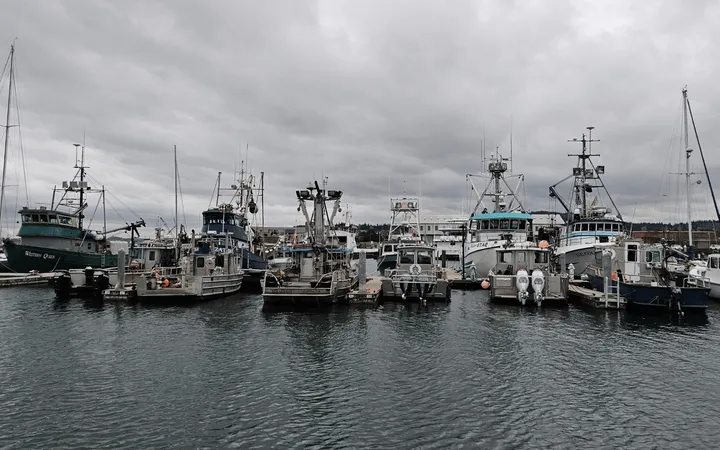 Gray and white boats equipped for fishing sit at a dock with gray skies above.